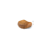 FBN BRITISH SHORTHAIR - CROQUETA.png